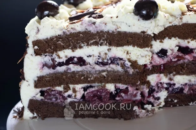 Шаг 15: иллюстрация