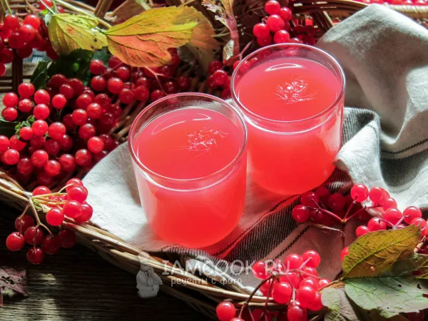 Фото блюда: Кисель из калины