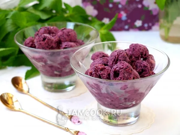 Фото блюда: Мороженое из шелковицы