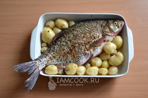 Шаг 5: иллюстрация