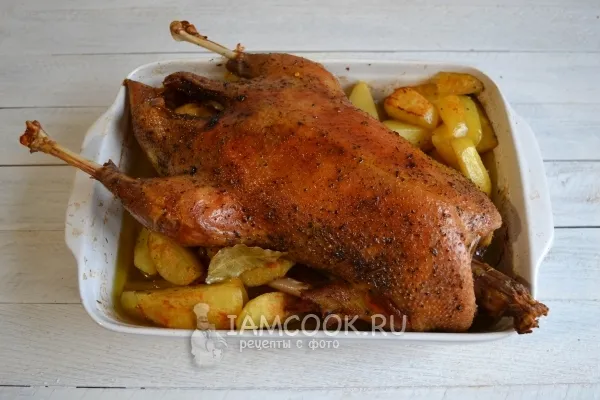 Шаг 13: иллюстрация