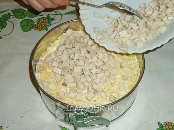 Шаг 15: иллюстрация