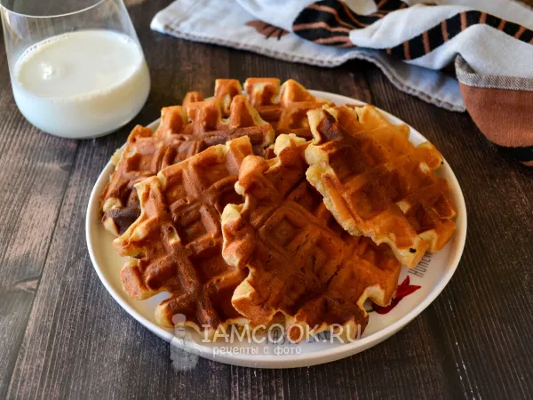 Фото блюда: Вафли из нутовой муки в вафельнице