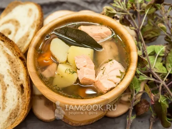 Фото блюда: Уха из семги