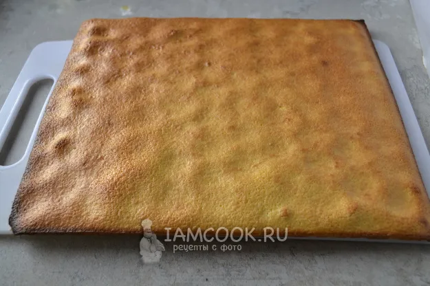 Шаг 11: иллюстрация