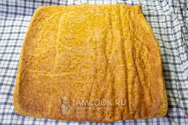 Шаг 15: иллюстрация