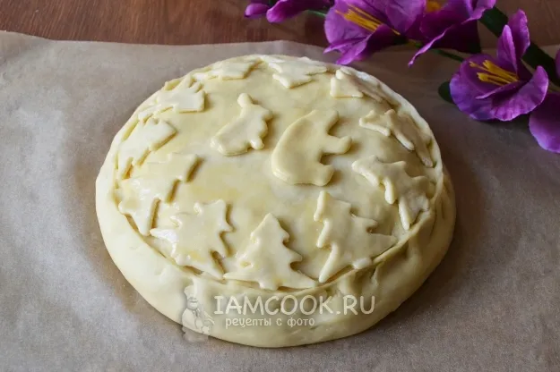 Шаг 17: иллюстрация