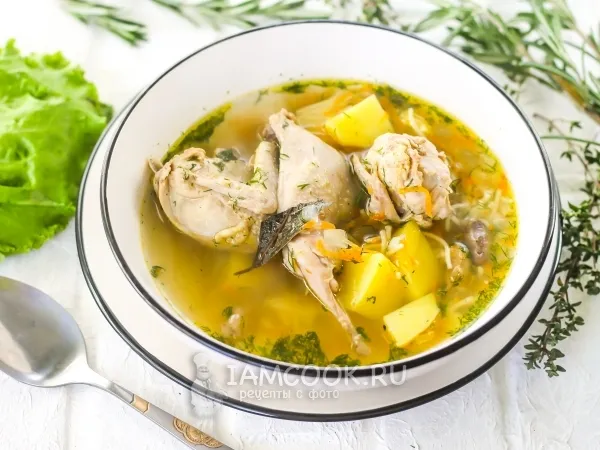 Фото блюда: Суп из перепелов