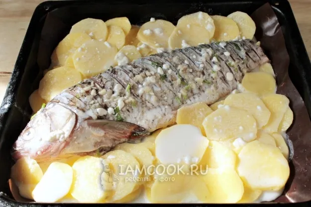 Шаг 5: иллюстрация