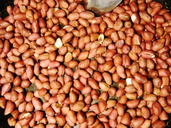 Шаг 13: иллюстрация