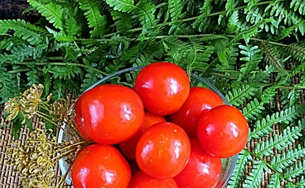 Шаг 11: иллюстрация