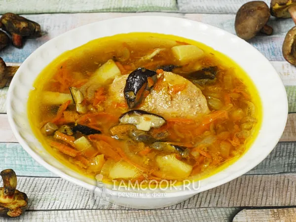 Фото блюда: Суп из моховиков