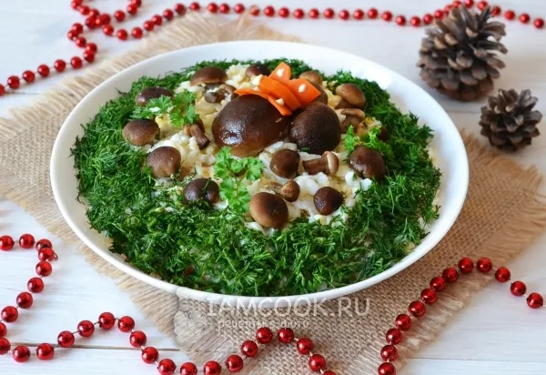 Шаг 17: иллюстрация