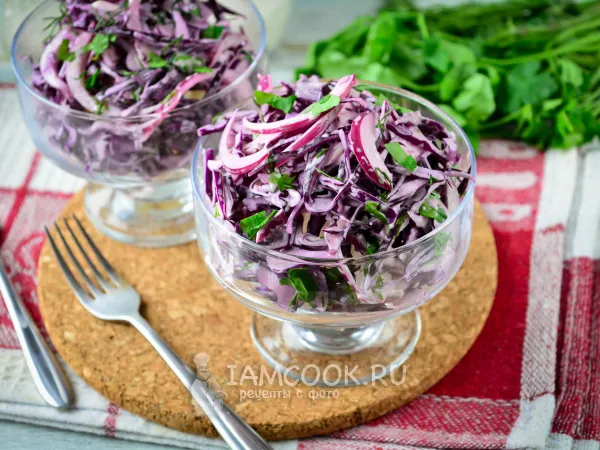 Фото блюда: Салат из краснокочанной капусты с луком
