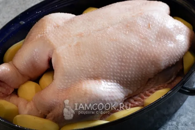 Шаг 5: иллюстрация