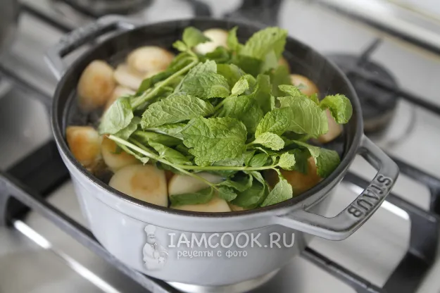 Шаг 7: иллюстрация