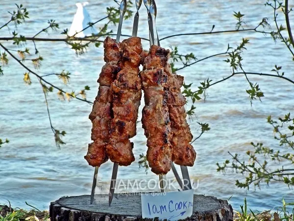 Фото блюда: Шашлык в томатном соке