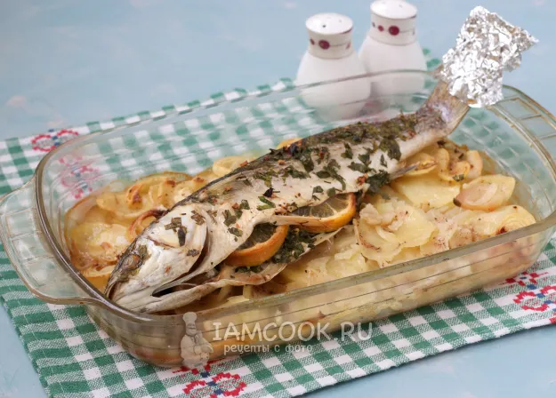 Шаг 6: иллюстрация