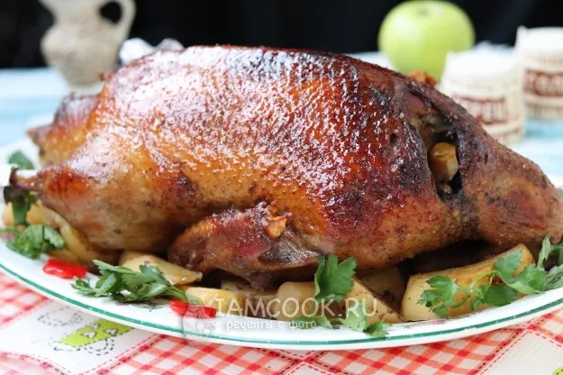 Шаг 15: иллюстрация