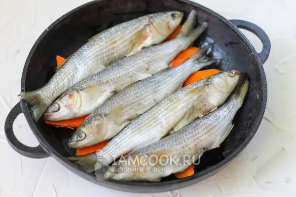 Шаг 4: иллюстрация