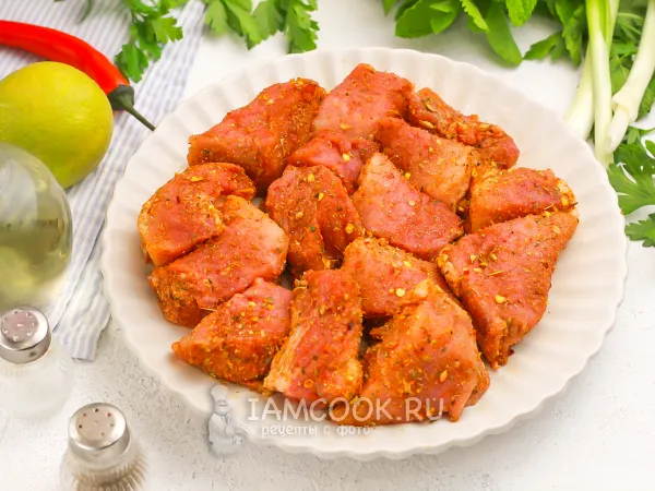 Фото блюда: Сухой маринад для шашлыка