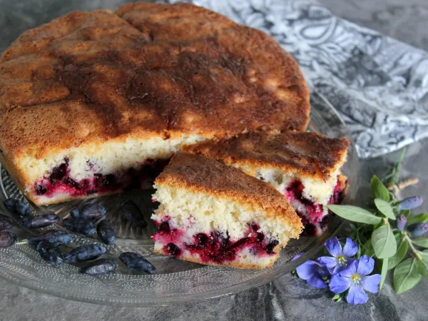 Фото блюда: Шарлотка с жимолостью