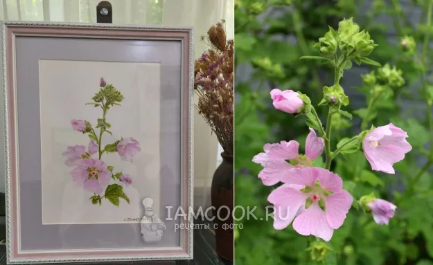 Шаг 16: иллюстрация