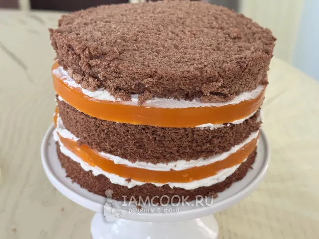 Шаг 15: иллюстрация