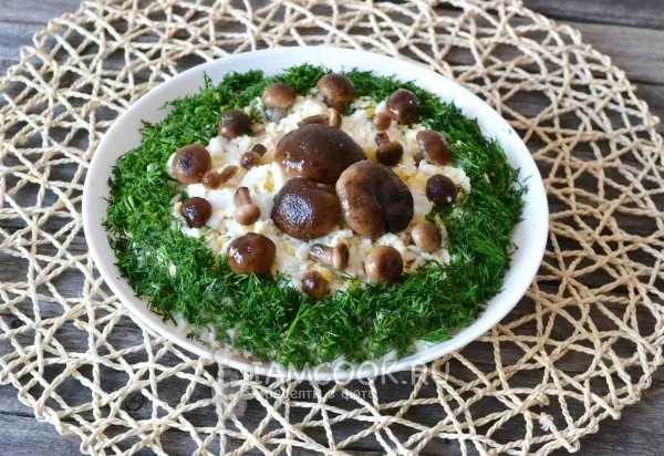 Шаг 15: иллюстрация