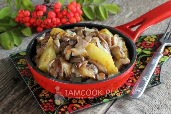 Шаг 12: иллюстрация