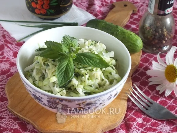 Фото блюда: Салат капустный с огурцом и мятой