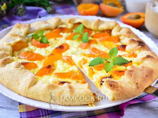 Фото блюда: Галета с абрикосами и творогом (в начинке)