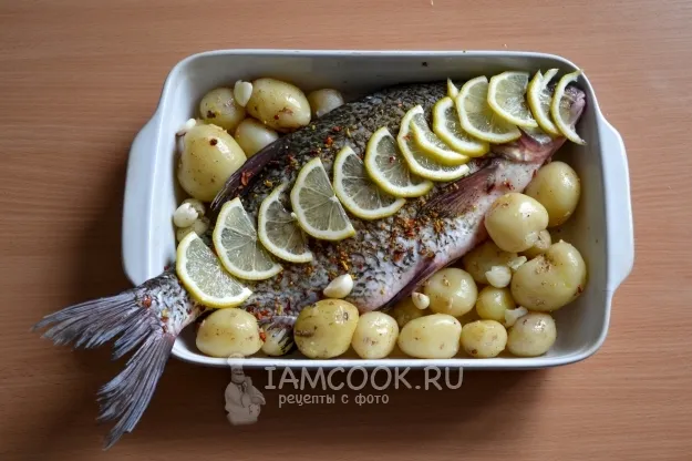 Шаг 6: иллюстрация