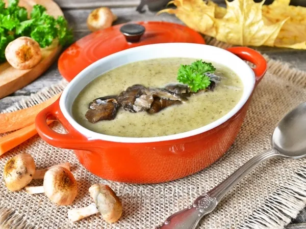 Фото блюда: Суп-пюре из лесных грибов