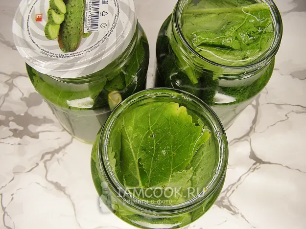 Шаг 8: иллюстрация