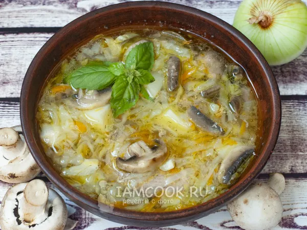 Фото блюда: Щи из курицы с грибами в мультиварке