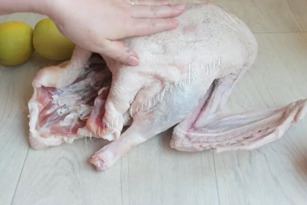 Шаг 2: иллюстрация