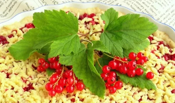 Шаг 16: иллюстрация