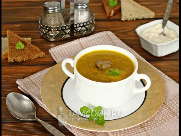 Фото блюда: Суп грибной из замороженных грибов в мультиварке