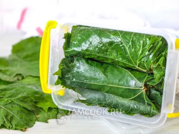 Фото блюда: Виноградные листья для долмы на зиму