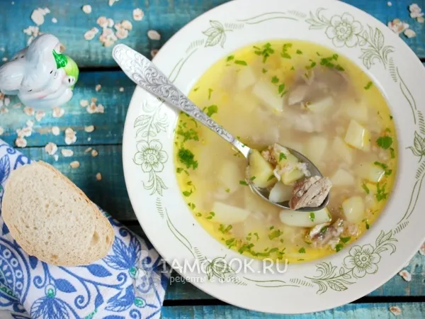 Фото блюда: Куриный суп с овсяными хлопьями