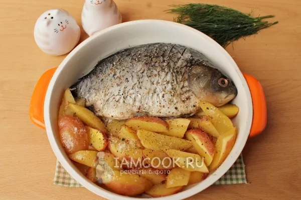 Шаг 4: иллюстрация