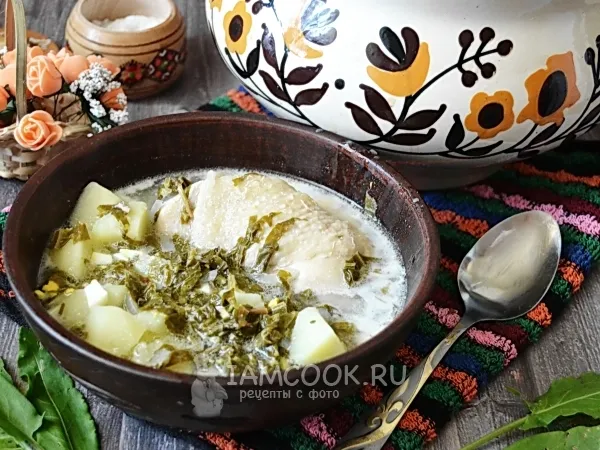 Фото блюда: Зелёный борщ в мультиварке