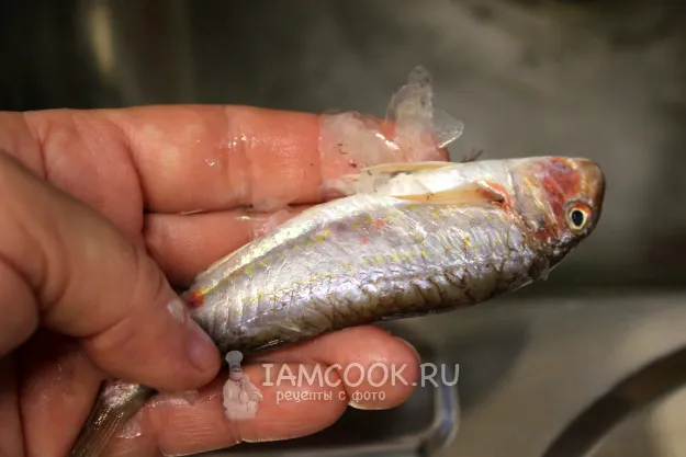 Шаг 2: иллюстрация