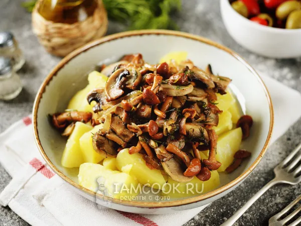 Фото блюда: Картофель с маринованными и свежими грибами