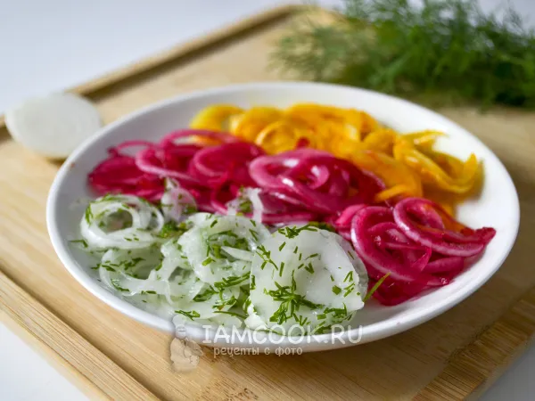 Фото блюда: Разноцветный маринованный лук к шашлыку