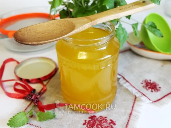 Фото блюда: Топленый гусиный жир