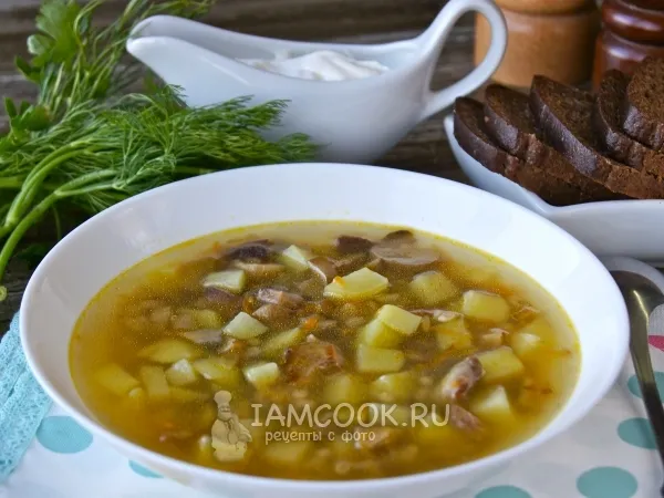 Фото блюда: Суп из замороженных белых грибов