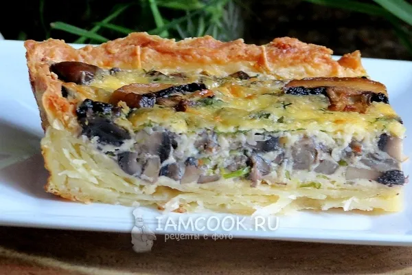 Шаг 19: иллюстрация