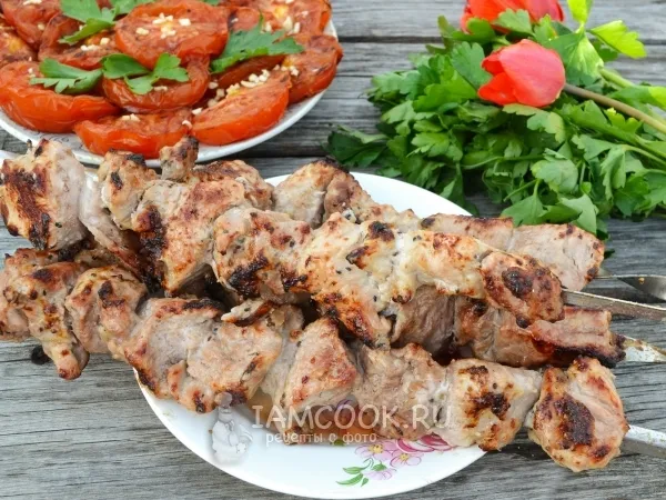 Фото блюда: Шашлык на кефире из свинины (с киви)